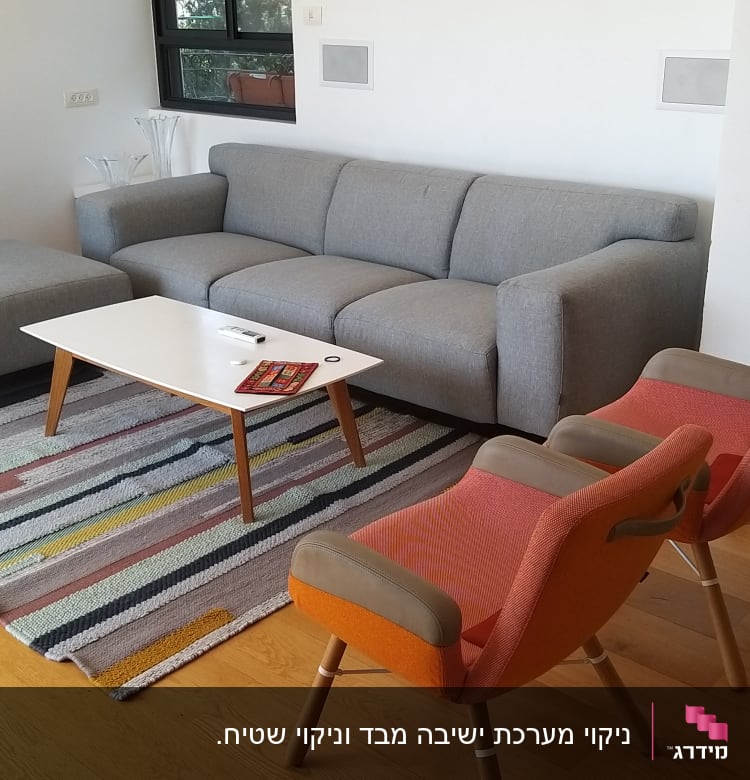 ספה אפורה על שטיח צבעוני בסלון מואר